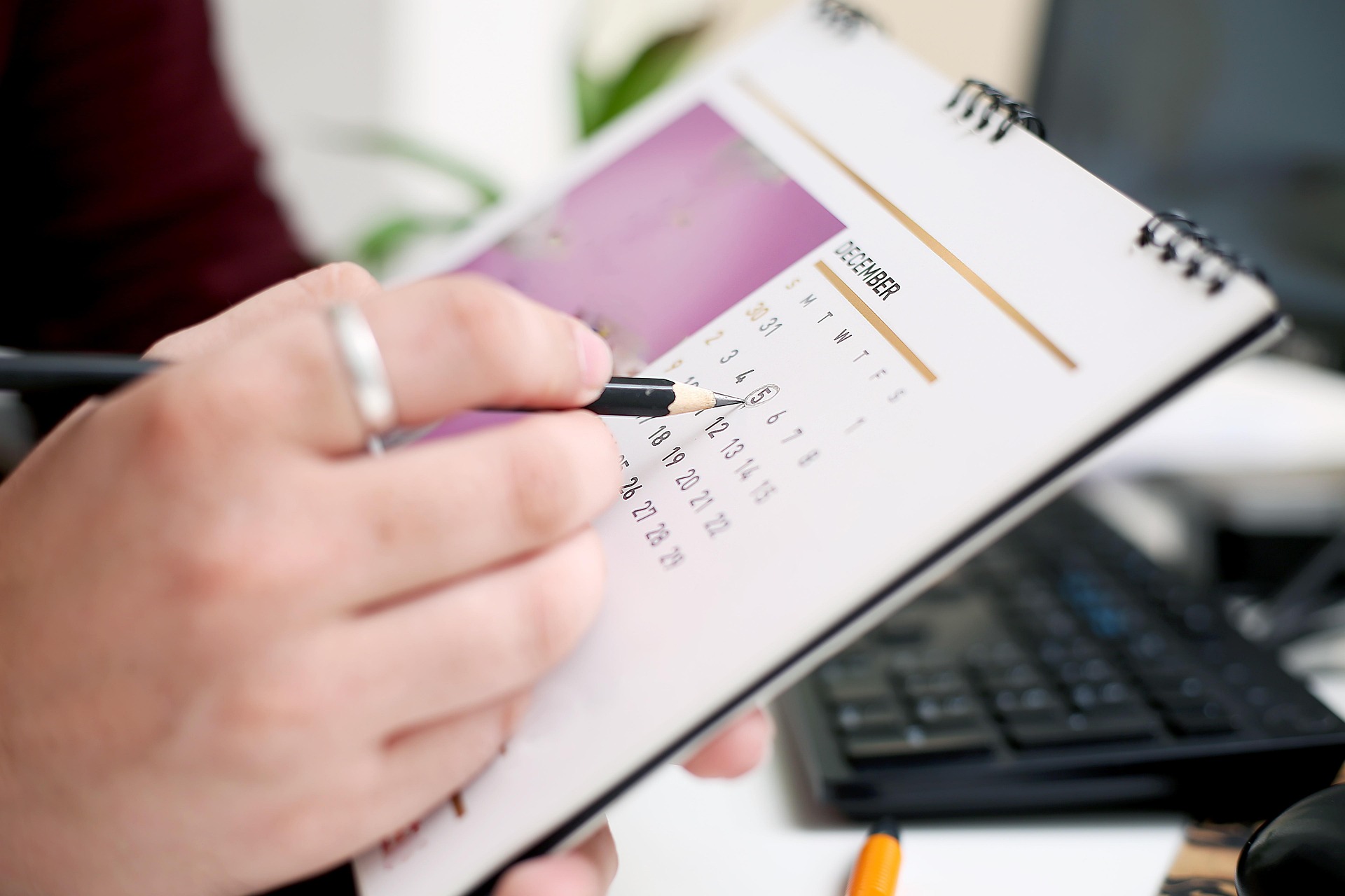 Cómo armo un calendario de pagos para mi negocio